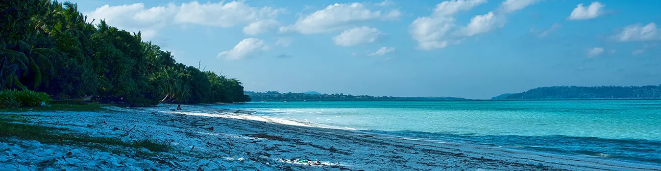 5 Nights 6 Days Andaman And Nicobar Cruise Packages