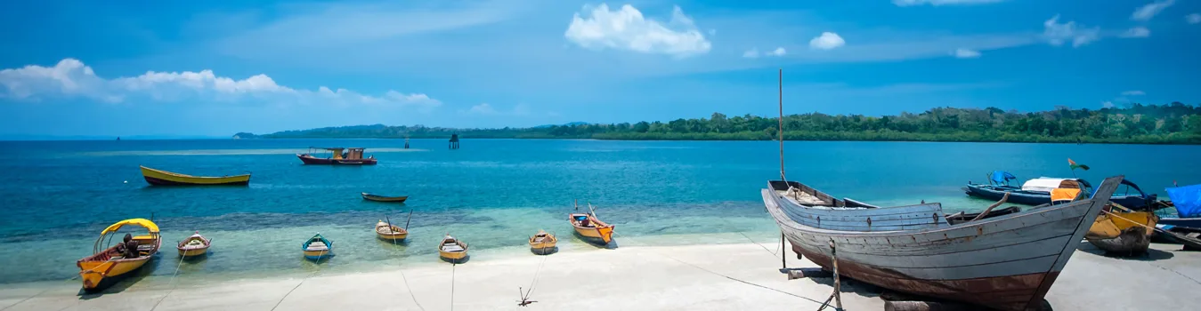 Andaman Group Packages