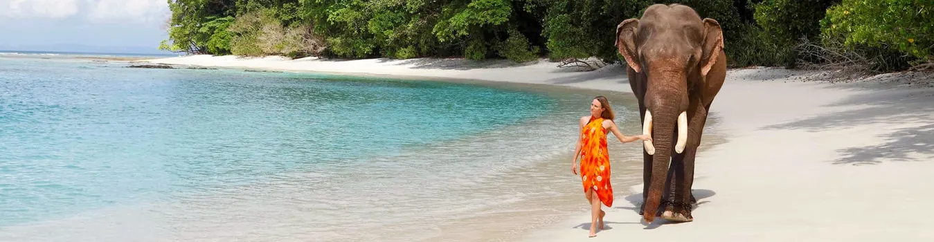 Andaman and Nicobar Islands Group Packages