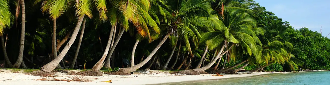 Andaman and Nicobar Islands Tour Packages