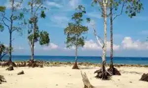 Chidiya Tapu Beach Andaman
