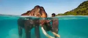 Elephant Beach in Havelock