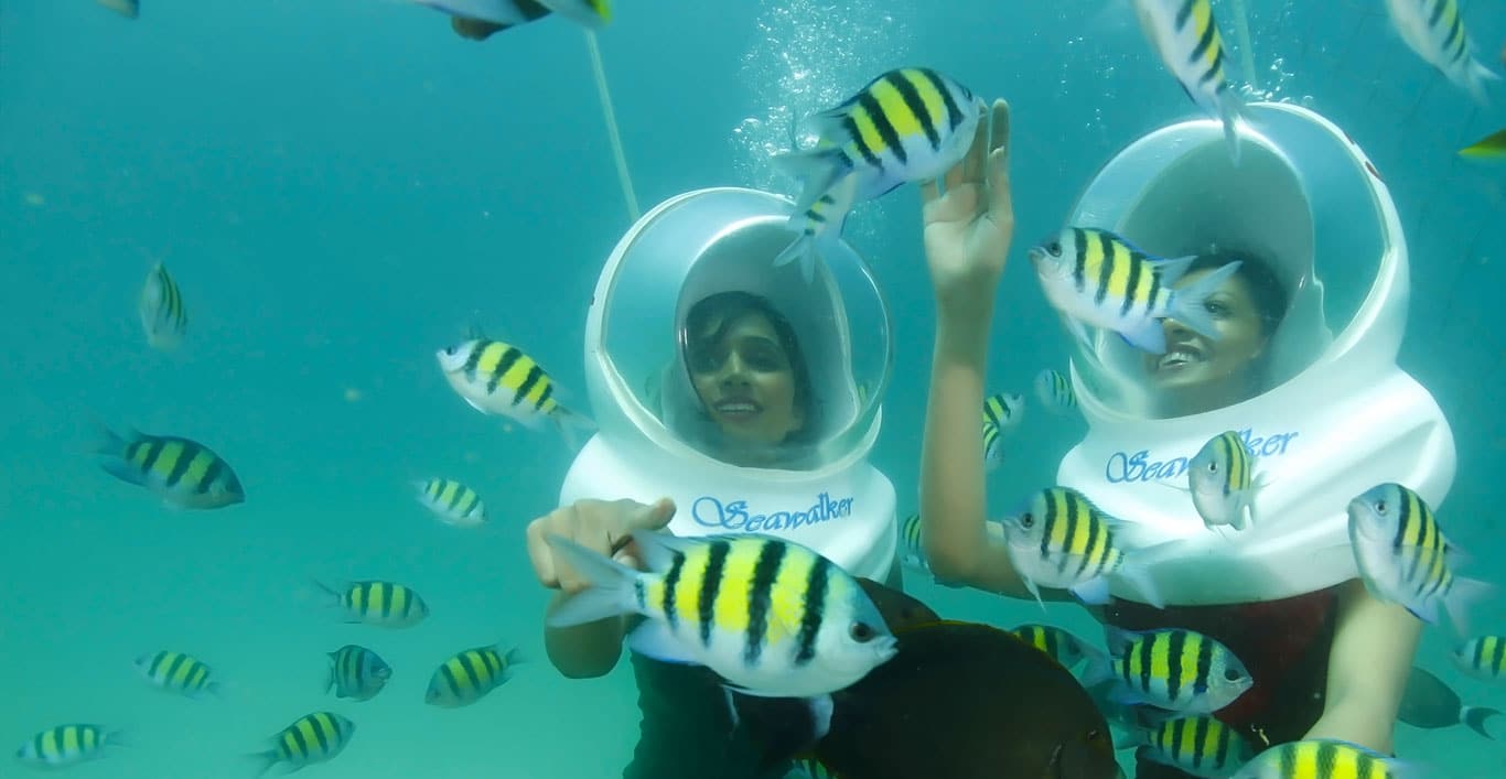 Sea Walk Activity in Andaman Gallery Image