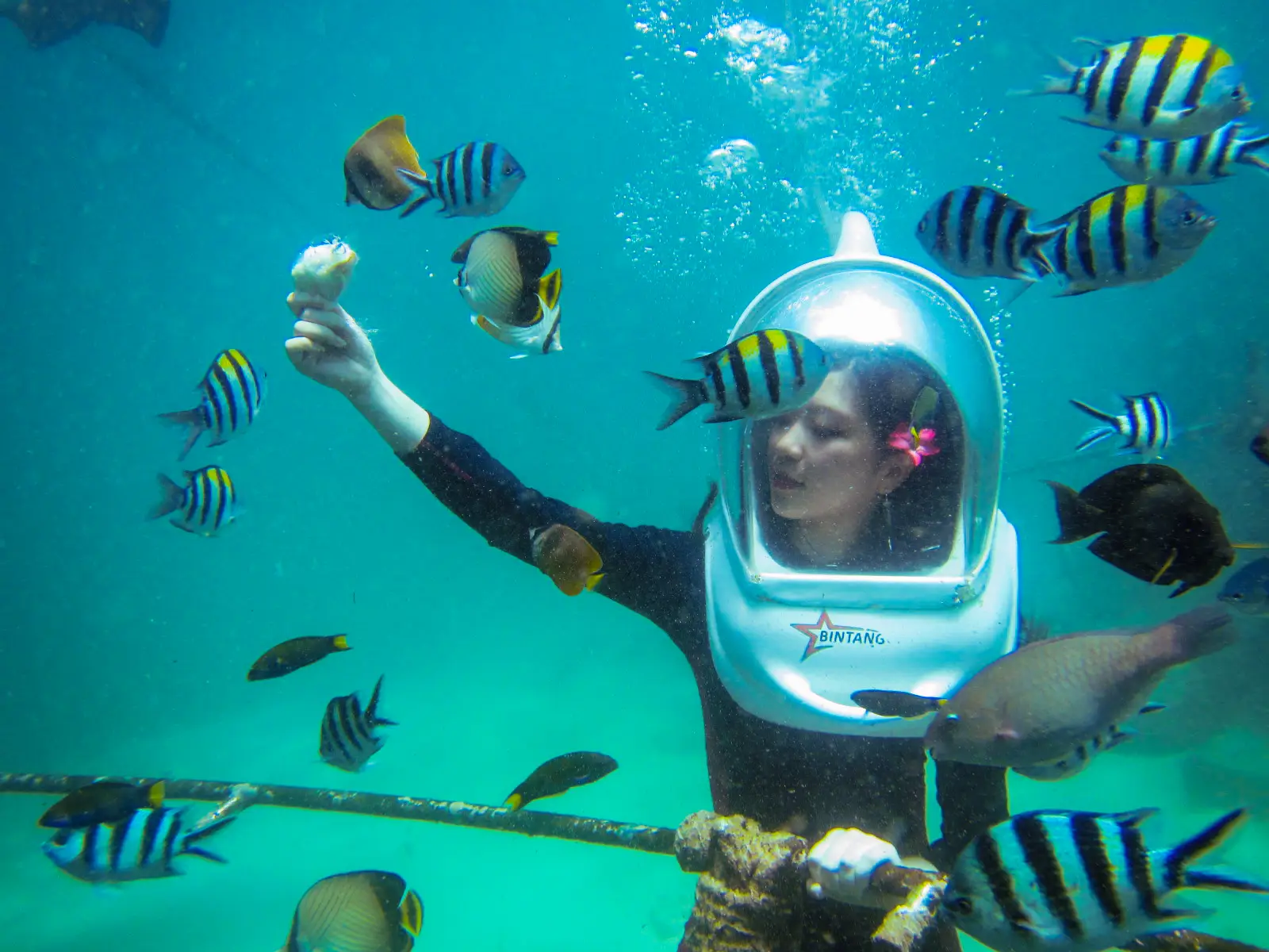 Sea Walk Activity in Andaman Gallery Image