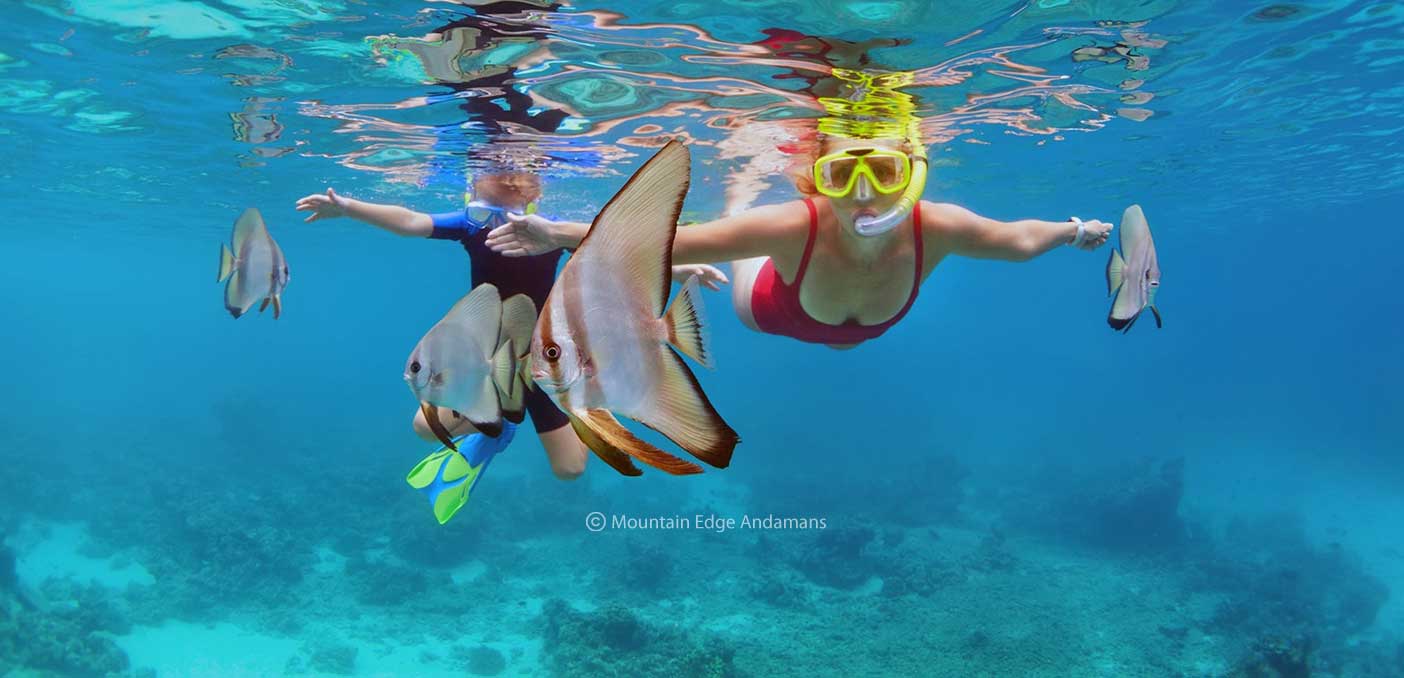 Snorkeling Activity in Andaman Gallery Image