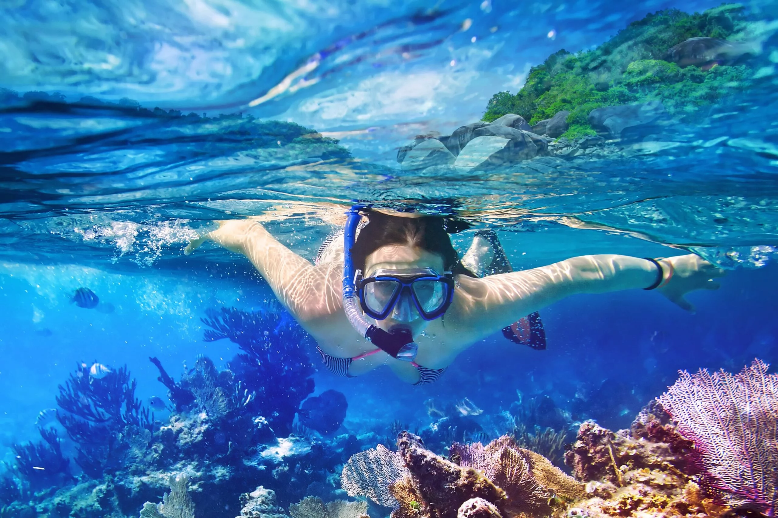 Snorkeling Activity in Andaman Gallery Image