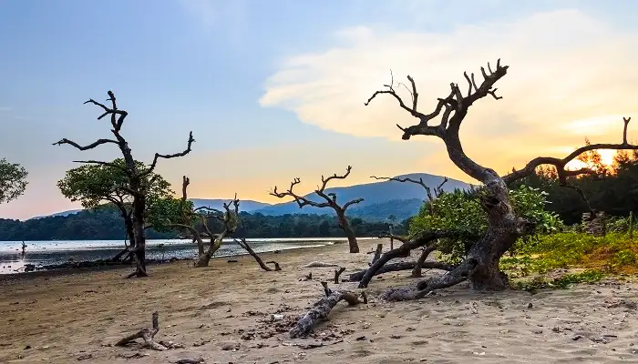 Kalipur Beach Sightseeing