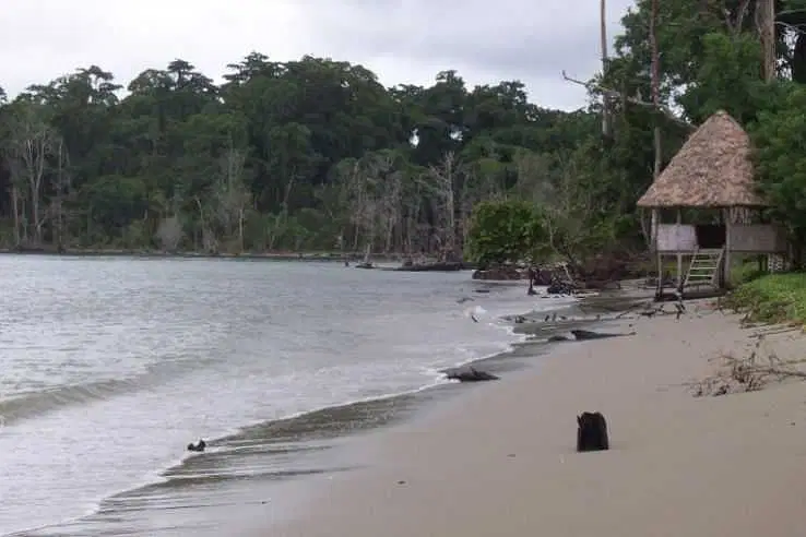 Baludera Beach in Baratang Island, Andaman