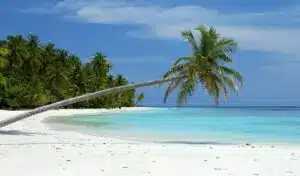 Bharatpur Beach in Neil Island