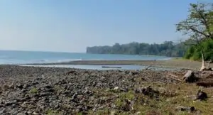 Lamiya Bay Beach Sightseeing